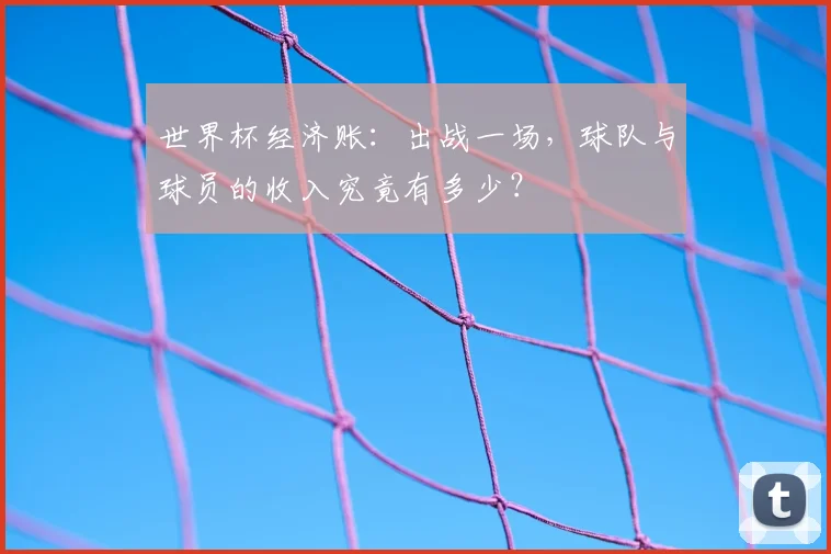 世界杯经济账：出战一场，球队与球员的收入究竟有多少？