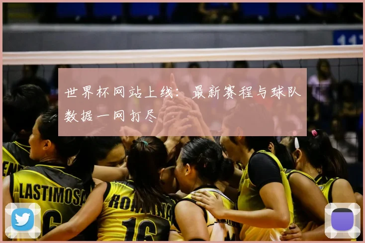 世界杯网站上线：最新赛程与球队数据一网打尽