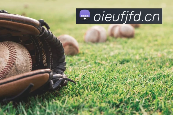 乐竞体育首页官网服务体系